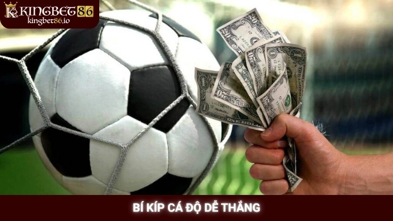Bí kíp cá độ dễ thắng