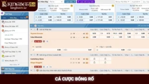 Cá Cược Bóng Rổ Kingbet86