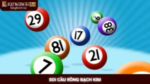 Soi Cầu Rồng Bạch Kim
